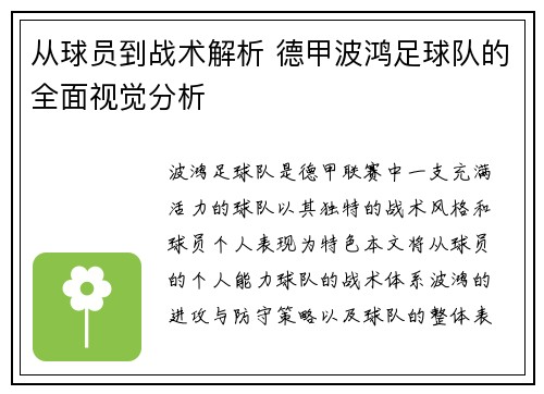 从球员到战术解析 德甲波鸿足球队的全面视觉分析