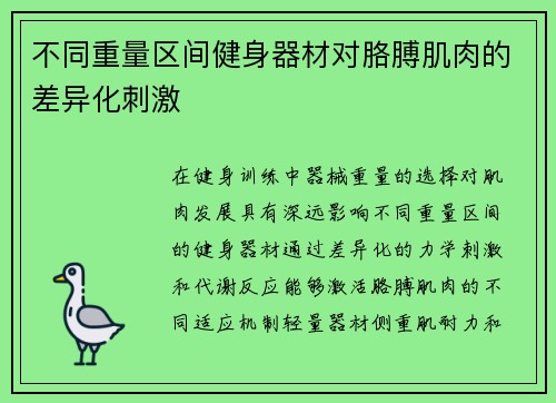 不同重量区间健身器材对胳膊肌肉的差异化刺激